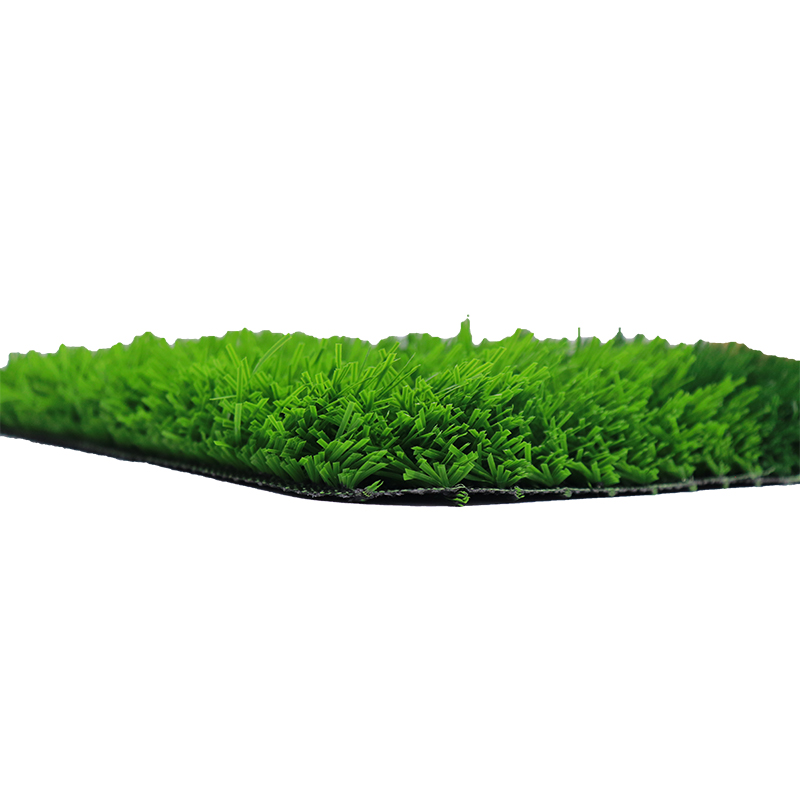 Sports Grass